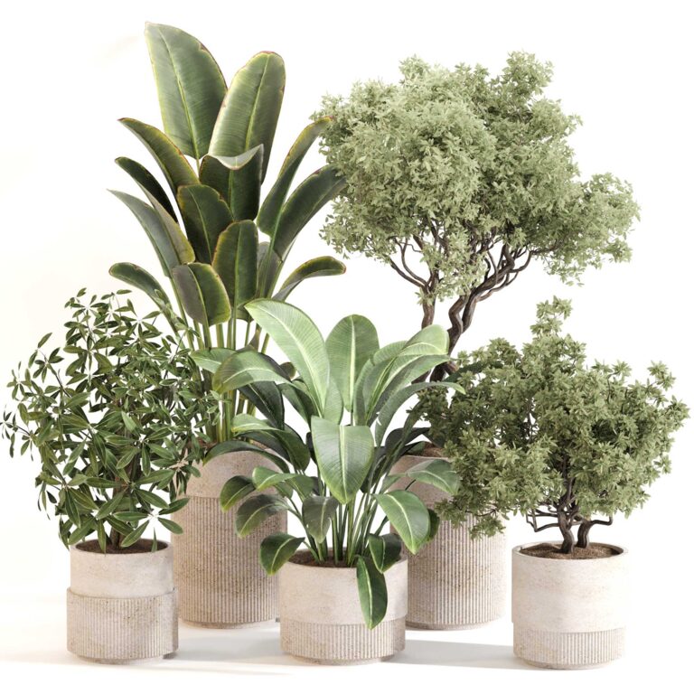 Indoor Plant Set 0120 (380715), 3d model 1