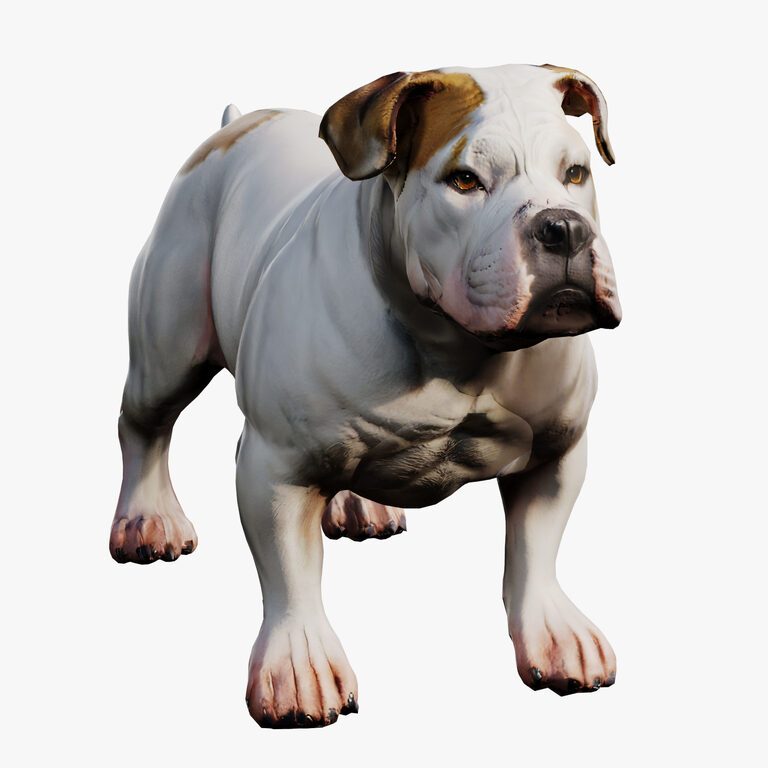 Bulldog (383073) 3D model - Download 3D model Bulldog (383073) | 383073 ...