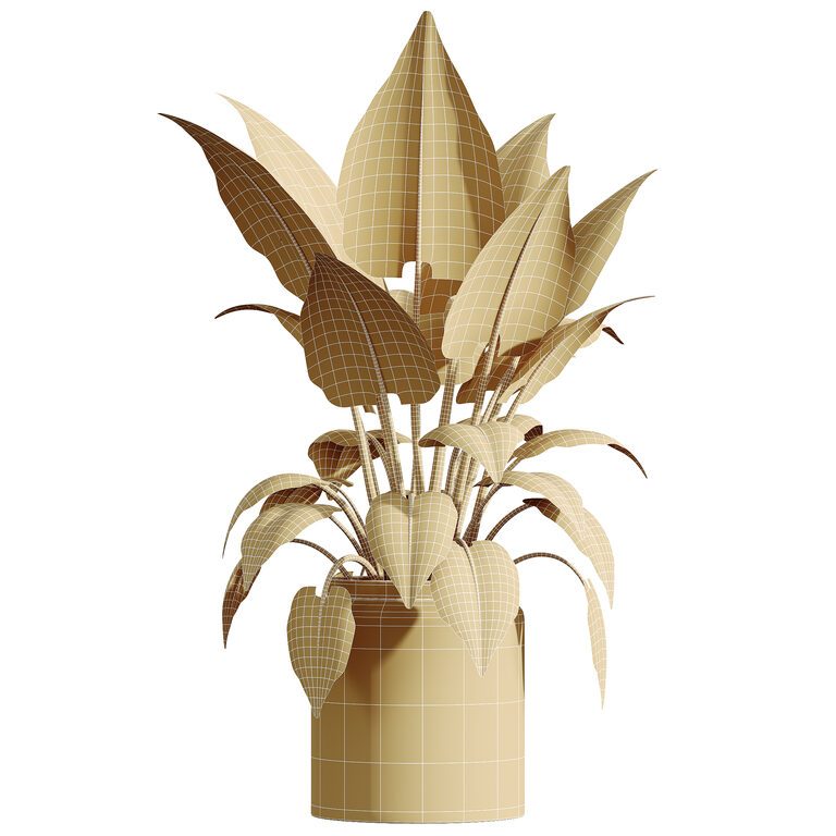 geigenfeige verzweigt Ficus lyrata verzweigt (Geigenfeige) kaufen main image 1