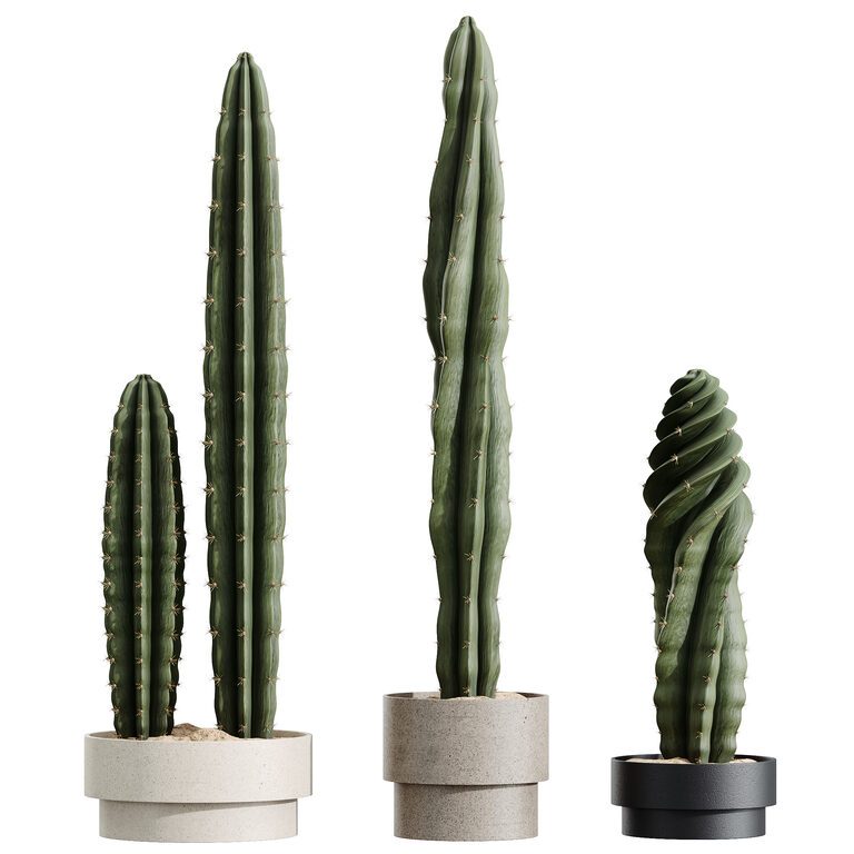AV Cactus Euphorbia Тригона Інгенції Candelebra Дерево (385890), 3d модель 1