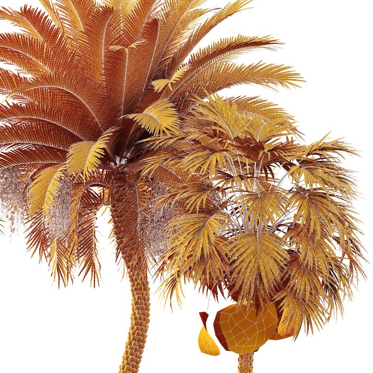 AV Sabal Palmetto Cabbage Palm and Phoenix Sylvestris Fruit palm