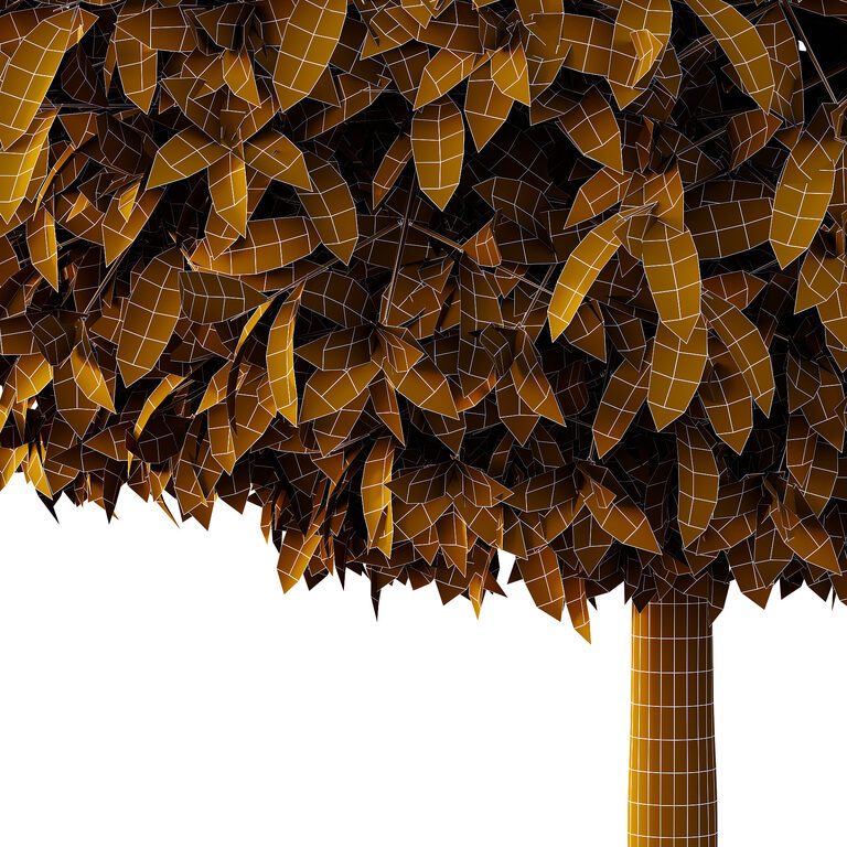 Michelia Maudiae Tree 02 (387302) 3D model - Download 3D model Michelia ...