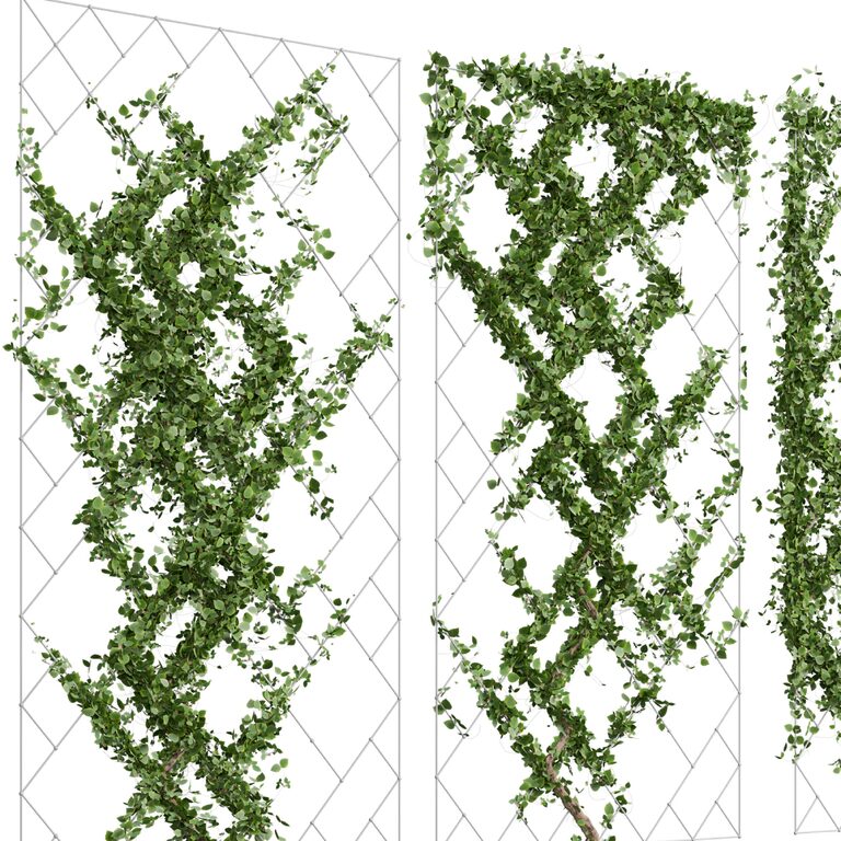 Вулиця рослина 183 (388690), 3d модель 1