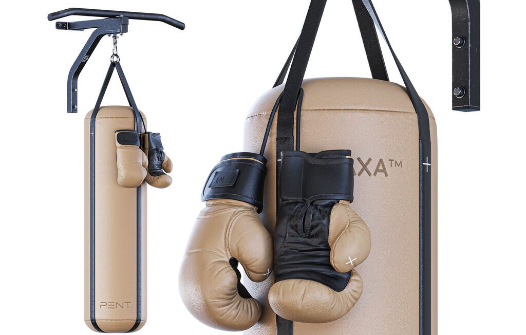 PENT Boxing Set (389951), 3d model 1