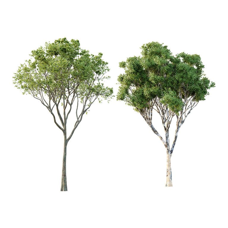 Different Tree Model Different Trees 20 (393520) 3D model - Download 3D model Different ...
