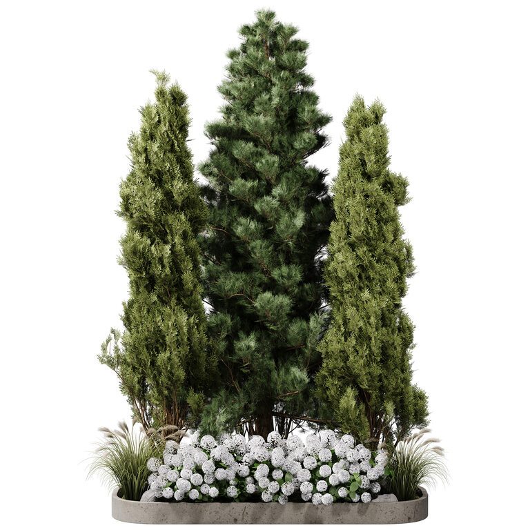 Outdoor Plants 15 Pine And Hydrangea 393721 3D Model Download 3D outdoor-plants-15-pine-and-hydrangea-393721-3d-model-download-3d