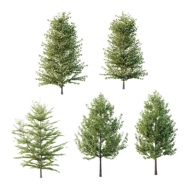Different Tree Model Different Trees 38 (393747) 3D model - Download 3D model Different ...