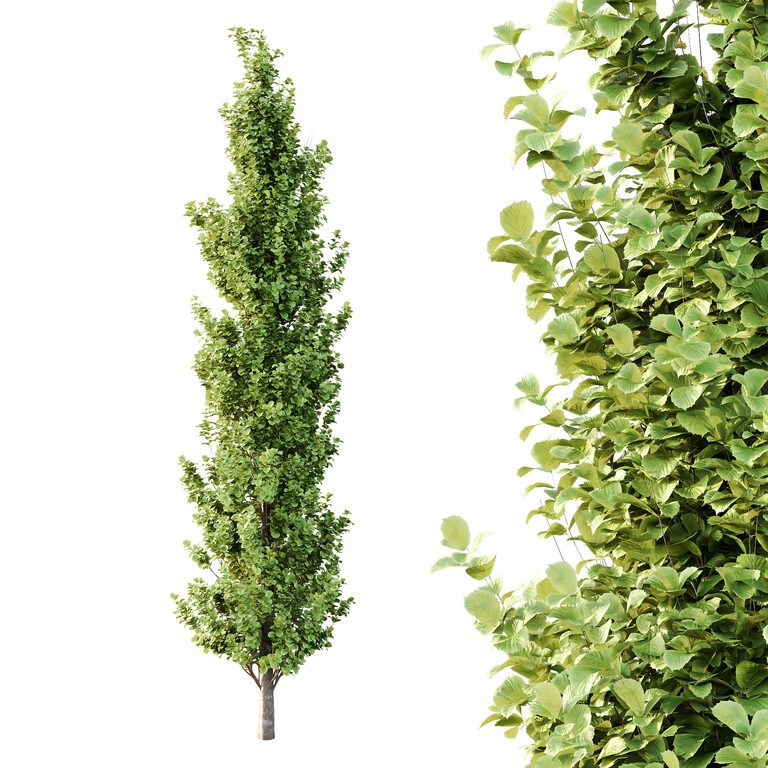 Different Tree Model Different Trees 54 (393802) 3D model - Download 3D model Different ...
