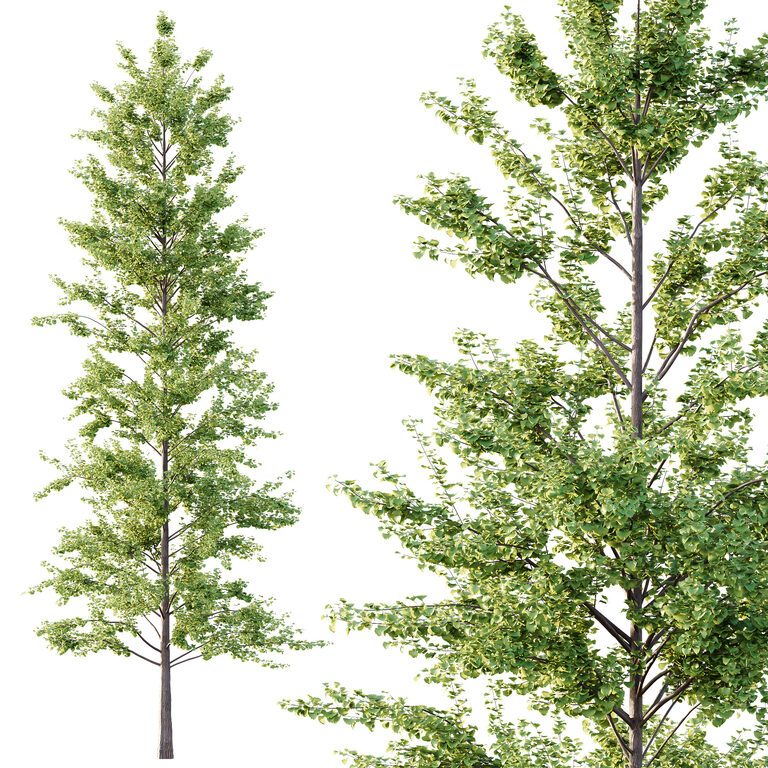 Different Tree Model Different Trees 54 (393802) 3D model - Download 3D model Different ...