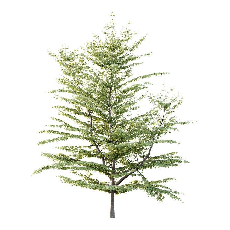 Different Tree Model Different Trees 57 (393807) 3D model - Download 3D model Different ...