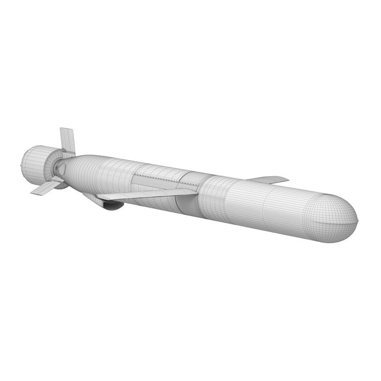 Tomahawk Land Attack Cruise Missile Rocket Block V (395459) 3D model ...
