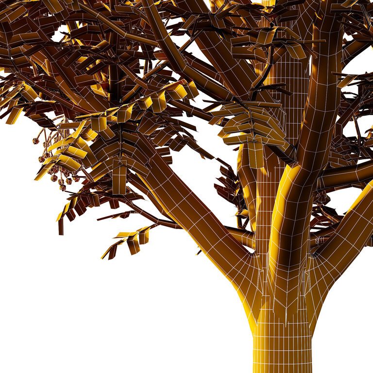 Rowan Fruit Tree 07 (396321) 3D model - Download 3D model Rowan Fruit ...