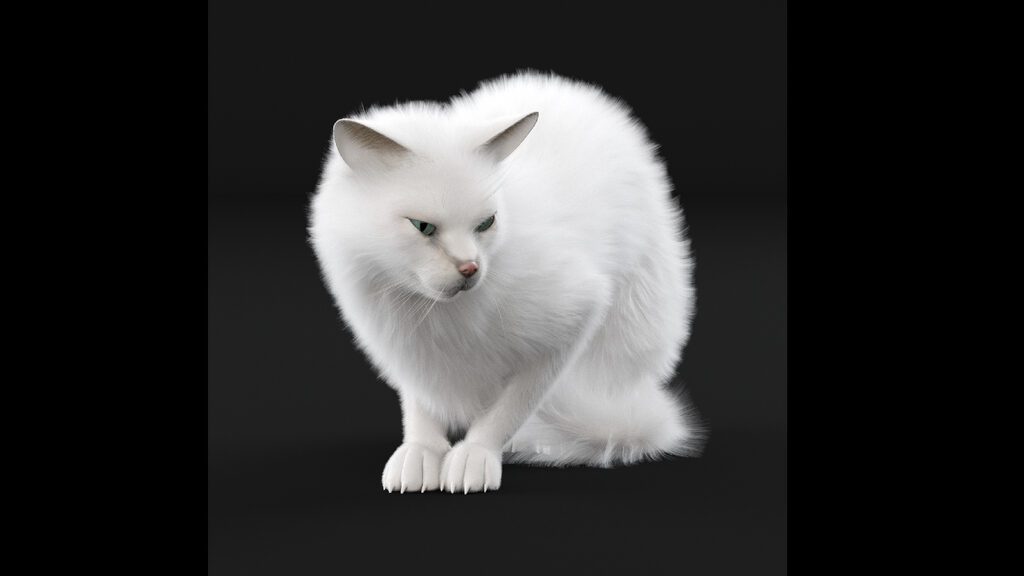 White cat (397760) 3D model - Download 3D model White cat (397760