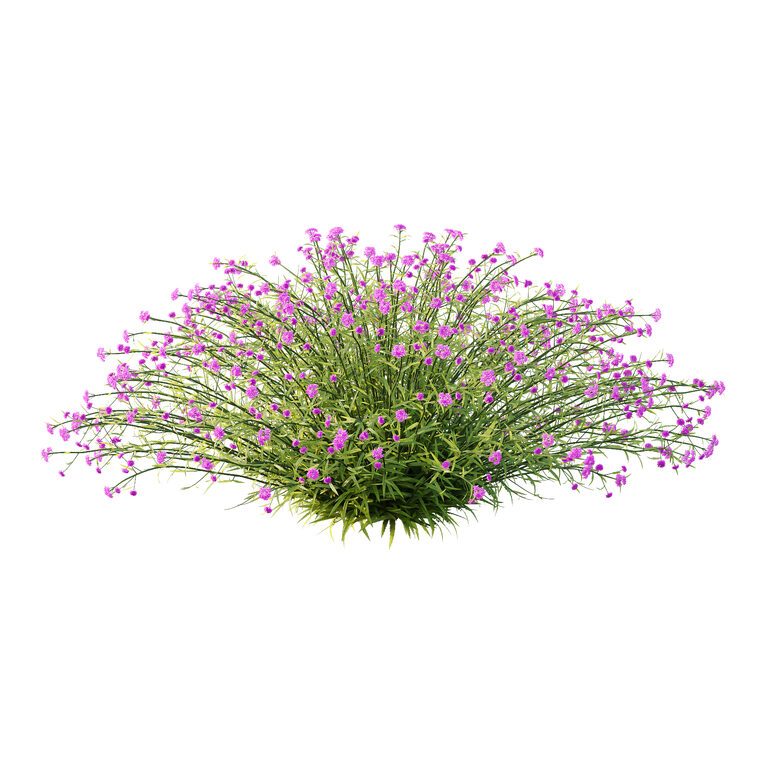 Растение Вербена Verbena Bonariensis 05 (397845), 3д модель 1