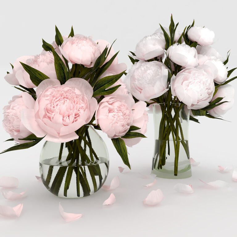 Bouquets of White and Pink Peonies (44655), 3d model 1