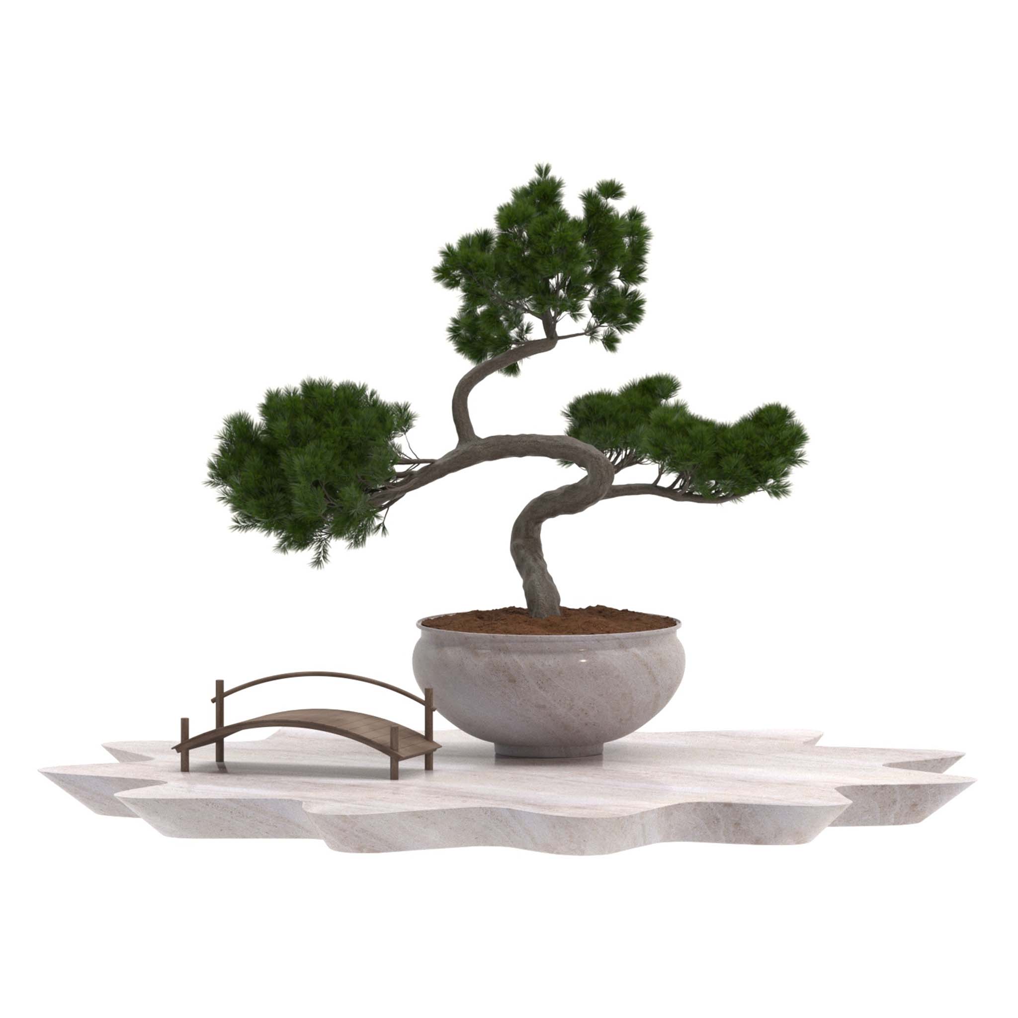 Pine Bonsai Tree-set-004 (404421) 3D model - Download 3D model